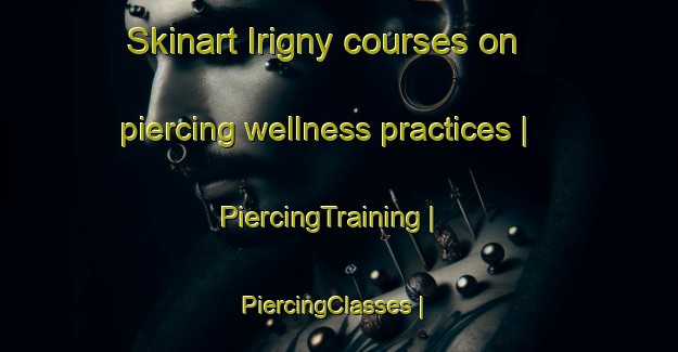 Skinart Irigny courses on piercing wellness practices | PiercingTraining | PiercingClasses | SkinartTraining-France